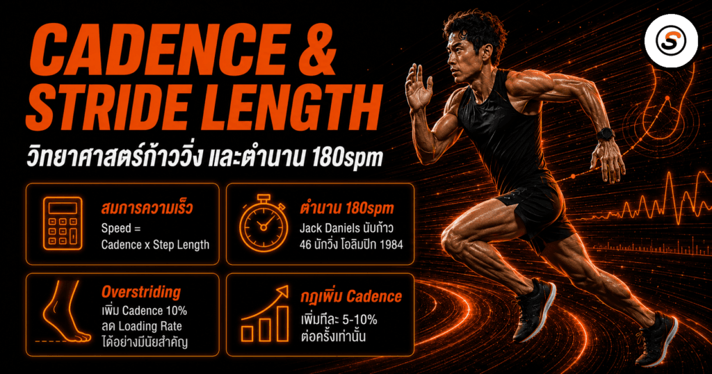 cadence stride length final