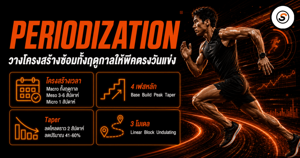 periodization final